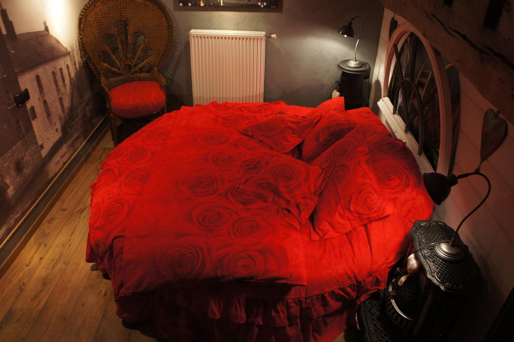 Bed and Breakfast Aux Logis De La Solre Ferriere-la-Petite Номер фото